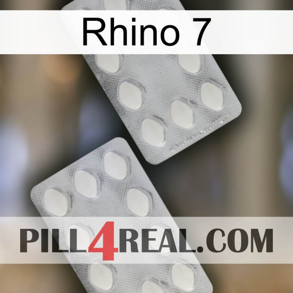 Rhino 7 17.jpg